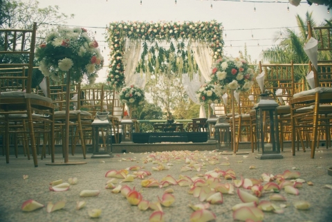 The Mogra Collective