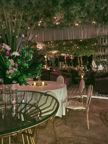 The Mogra Collective