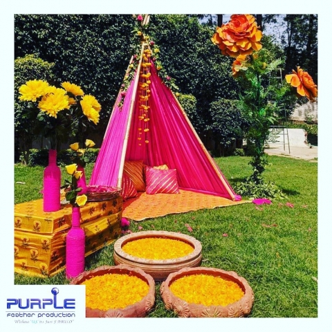 Purple Feather Production