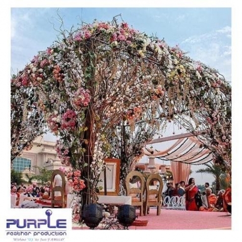 Purple Feather Production