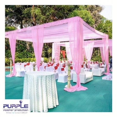 Purple Feather Production