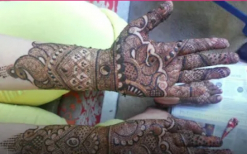 Talwar Singh Mehandi Artist 