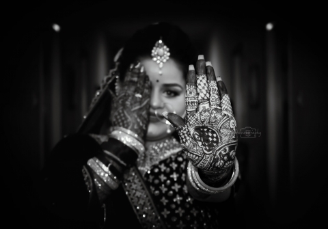 Frameography Official