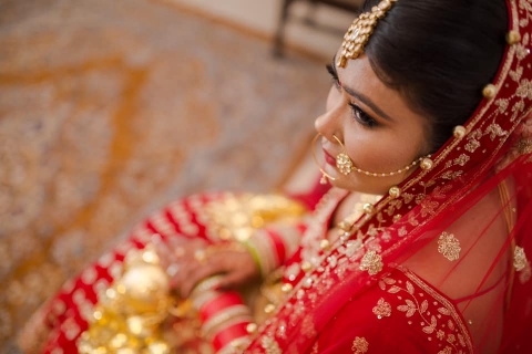 Shutter Knight Badarpur Border