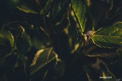 Mohit Hambiria Photography1