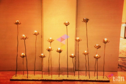 TIAN Events and Experiences