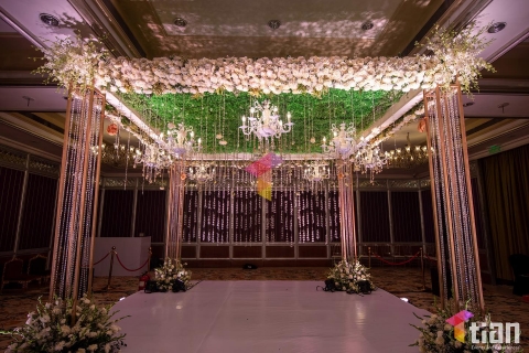 TIAN Events and Experiences