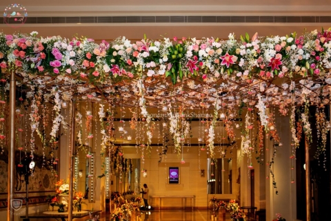 Poonam Mayank Sharma