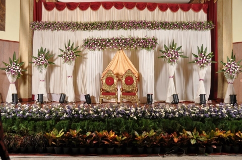 Lotus Flower Decorators