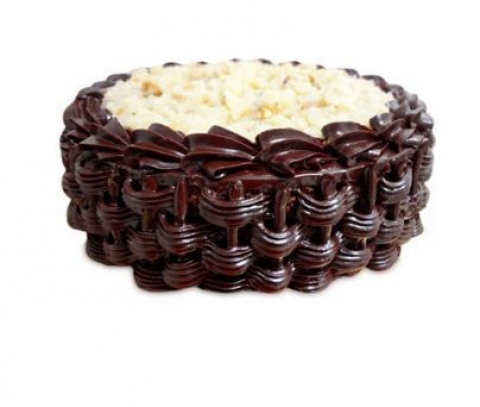 ferns n petals noida