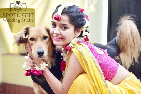 Spotlight Wedding Studio