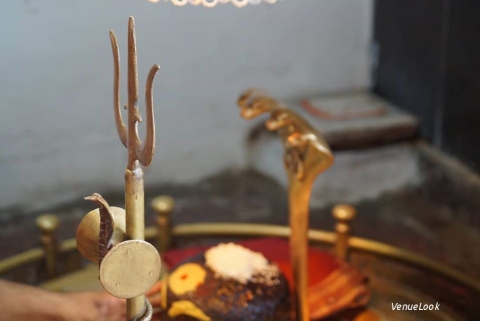 Peach Grey Productions1