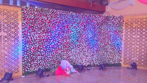 Royal Orchid Flower Decorators