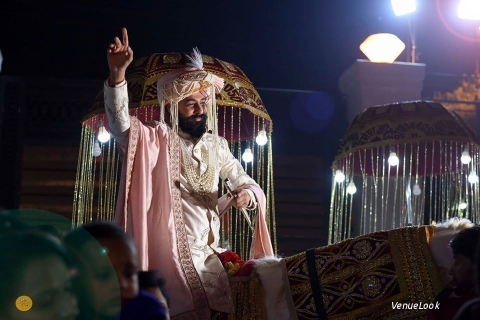 PicsandClicks Productions1