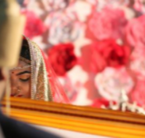 Milind Shirsat Photography