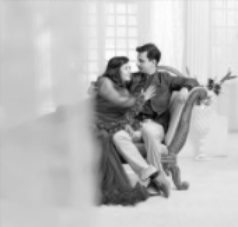 Milind Shirsat Photography