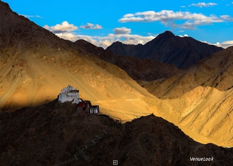 Mohit Tejpals Snap Shots1