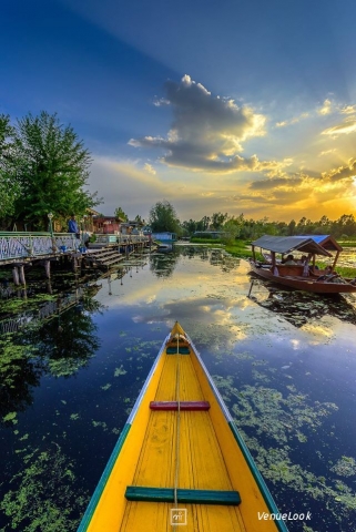 Mohit Tejpals Snap Shots1