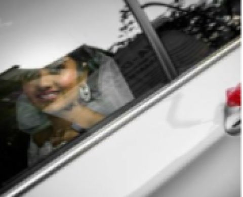 Sweet Monkey Concepts