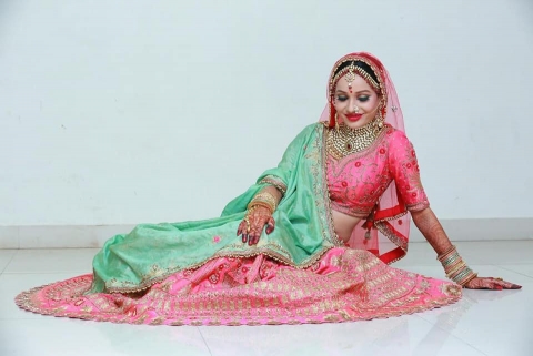 Hemlatas Celebrity Artist