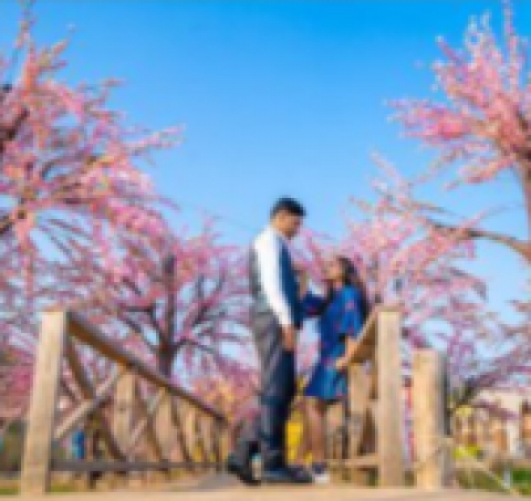 Wed Artist Photography