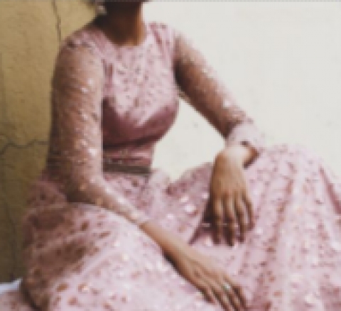 Chayachitran by Pranali