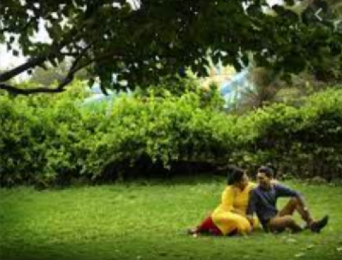 Aditya Jamgaonkar Photography