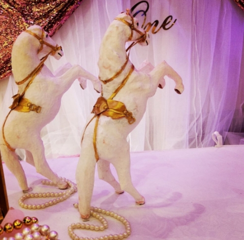 Party Solutions Rekha