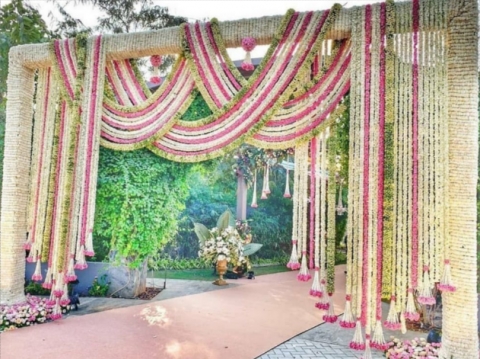 Young India Events & Decor