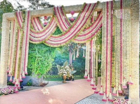 Young India Events and Decor