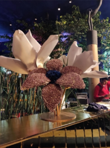 The Blooming Buds India