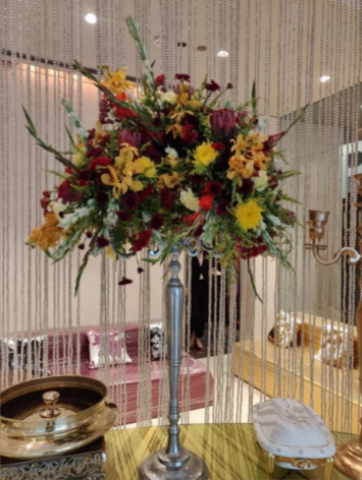 The Blooming Buds India