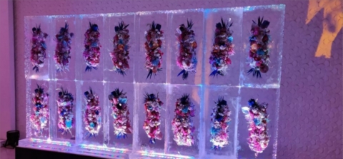 The Blooming Buds India