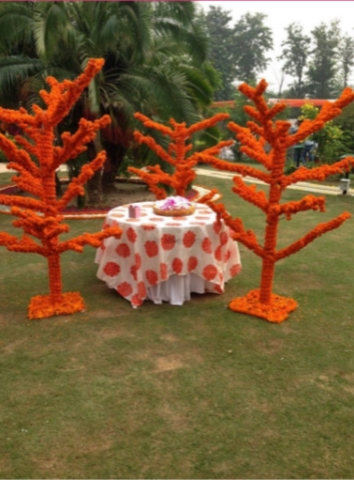 The Royal Function by Abhishek