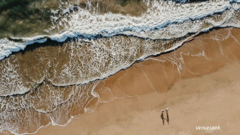 Dark Cup Productions3