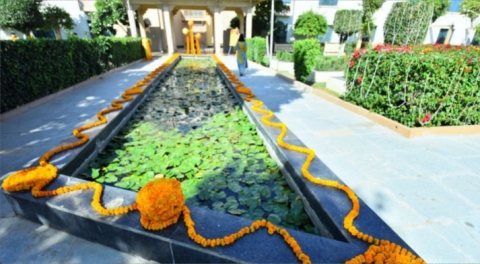 Celebrations by Wizard