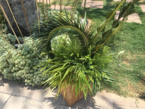 Maadhyam Events by Bindiya