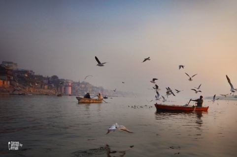 Vimal Chandran Photography	