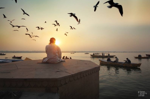 Vimal Chandran Photography	