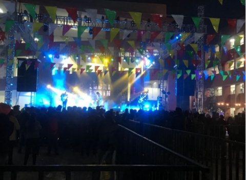 Insignia Entertainment