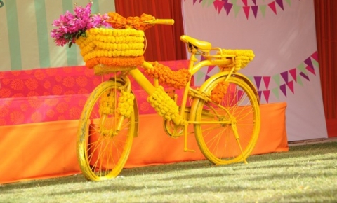 Shine Events and Entertainment