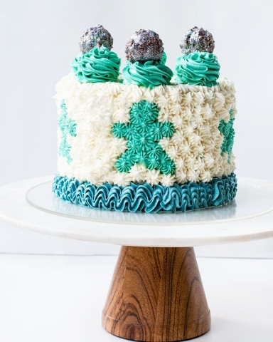 Cupcake Nation Studio