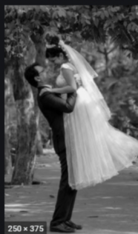 Belleza The Bond of Memories	