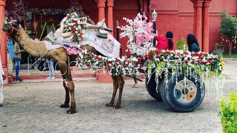 Kachhawa Events Weddings