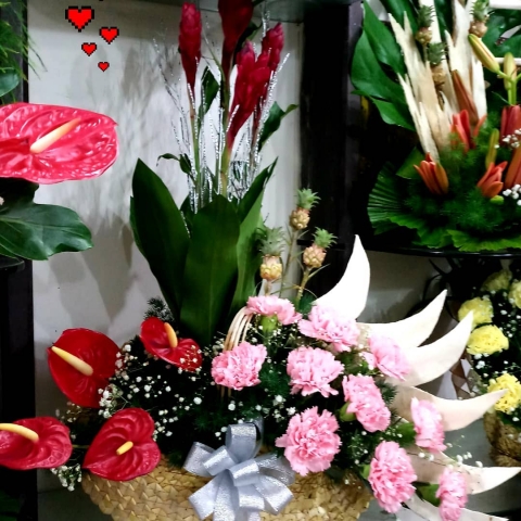 Papillon House Of Flowers