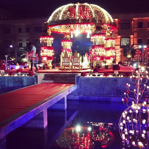 Weddings by Frozen Lemon