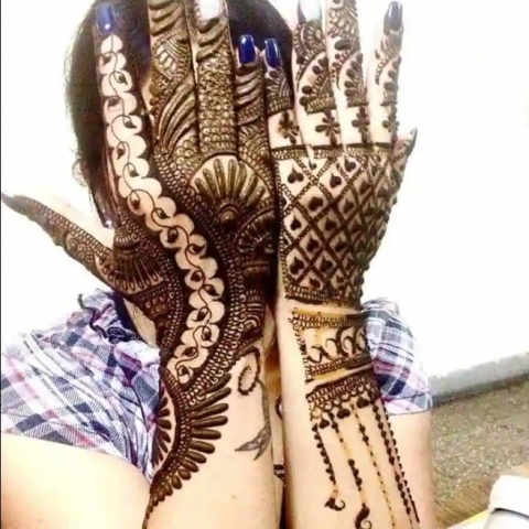 Naresh Mehndi Art
