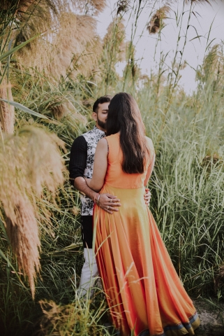 Lights Camera Shutter