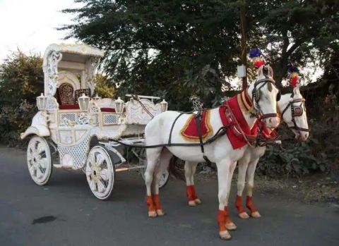 Milan Band Ghori Baggi Wala