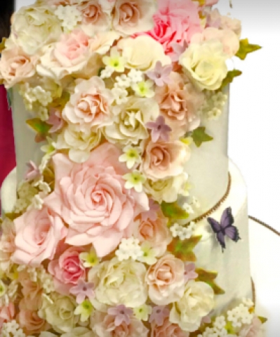 Cake Central Design Studio